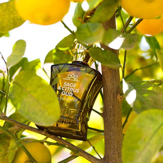 H HABIBI Sage & Citrus Perfume for Men – 2.5 oz (75ML) Long Lasting Arabian Cologne, Fresh Citrus Woody Men Perfume, Luxury Fragrance Gift for Special Occasions