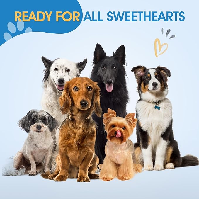 JASON Professional Dog Grooming Scissors - 7 Inch Thinning Shear Japanese 440C Stainless Steel Diamond Screw with 40 Teeth Dog Blender Scissors Christmas Gift