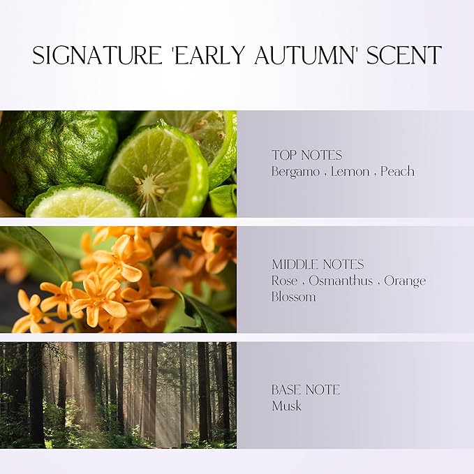 Silk Touch Essence | Lightweight Hair Oil Serum for Repair & Shine, Dermatologically Tested, with GREENOL® Botanical Complex, Made in Korea | 2.87 fl oz