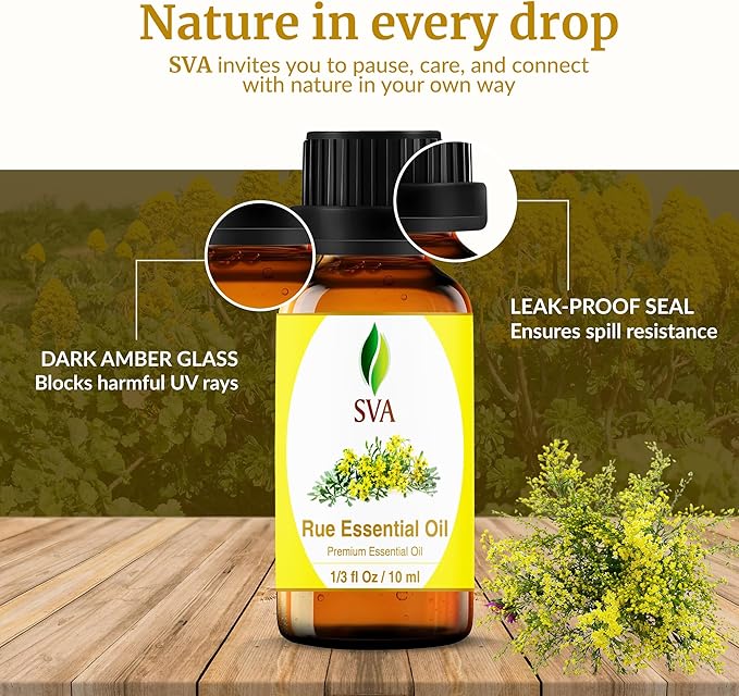 SVA Rue Essential Oil – 1/3 Fl Oz – 100% Natural Rue Oil - for Diffuser, Hair Care, Face, Skin Care, Aromatherapy, Scalp and Body Massage, Soap and Candle Making
