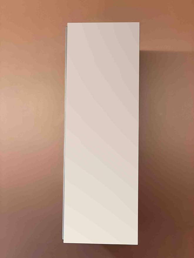 Reinvo Facial Microdermabrasion Wand by Project E Beauty | Gentle Exfoliation | Reduce Wrinkles & Fine Lines | Decrease Pores | Fresh & Radiant Skin | 4 Interchangeable Heads | Vacuum Suction Device