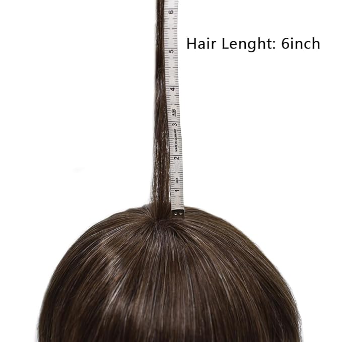 Toupee for Men French Lace Center Human Hair Replacement Systems Transparent Lace Center Hair Piece Mens Toupee Hair Units for Man V-Looped Front 8"X10" #430 4# MEDIUM BROWN WITH 30% SYNTHETIC GREY