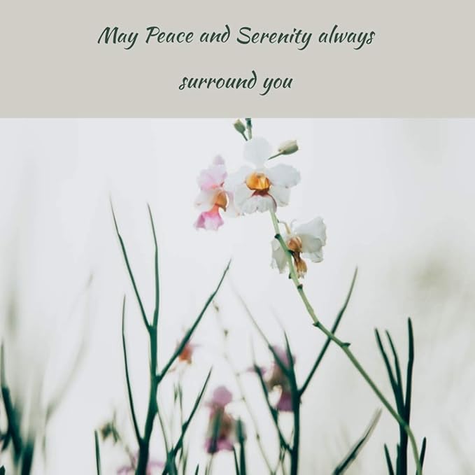 Greenwood Essential Pure Shikakai oil (Acacia concinna) Natural Therapeutic Grade 50ml (1.69 oz)