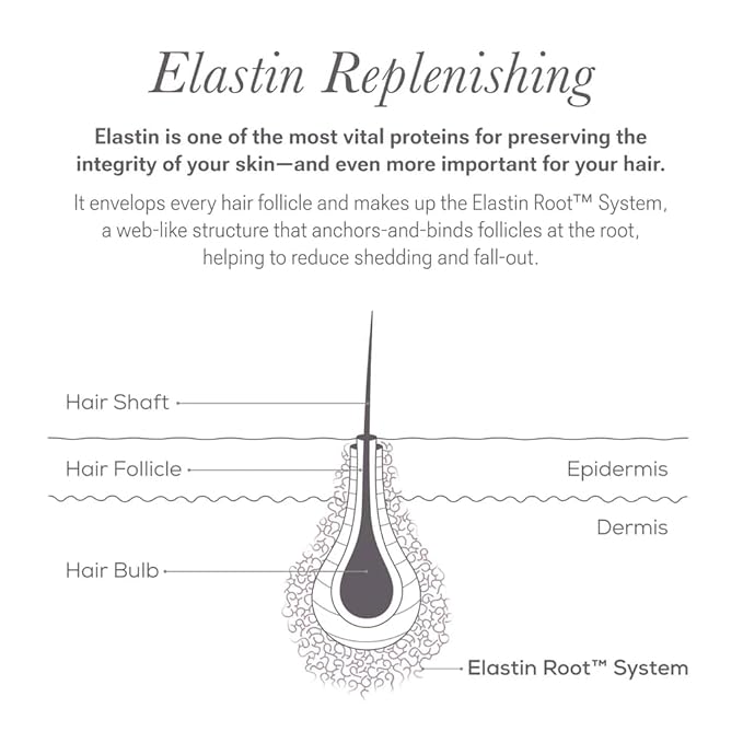 NULASTIN Follicle Fortifying Lash Serum - Clinically Tested Eyelash Enhancing Serum - Nourishes & Repairs to Promote Longer-Looking Lashes - Enriched with Hair-Strengthening Ingredients (0.1 Fl Oz)