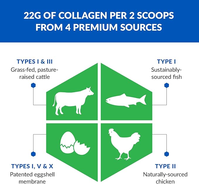 BioTrust Ageless Multi Collagen Peptides Powder – 5 Types (I, II, III, V, X) – Unflavored Collagen Powder for Women & Men – Hydrolyzed Protein – Grass Fed Beef, Fish, Chicken, Eggshell Membrane, 2-pk