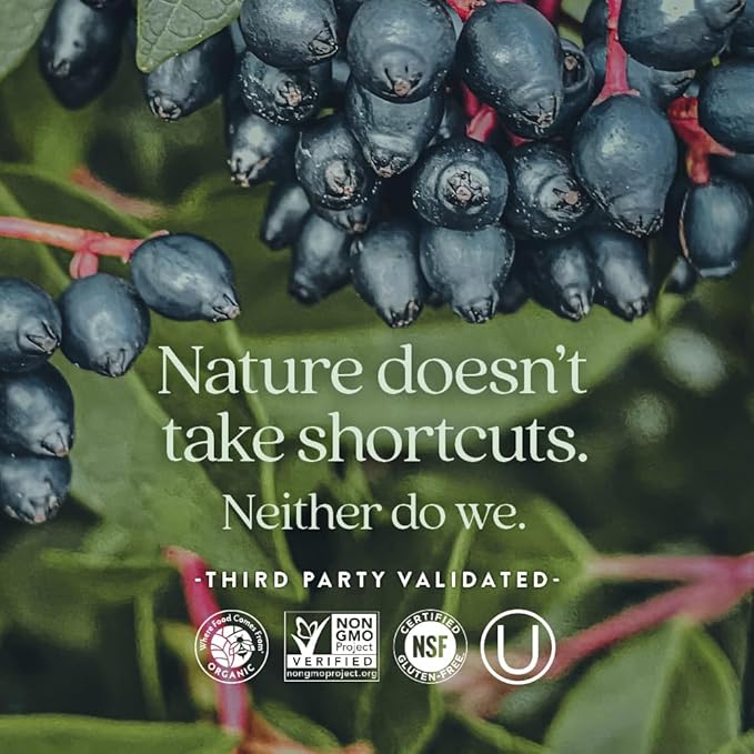 New Chapter Zinc Supplement, Fermented Zinc Complex, ONE Daily for Immune Support + Skin Health, Mineral-Balancing Formula Rich in Copper, Easy to Swallow & Digest, 90 Count (3 Month Supply)