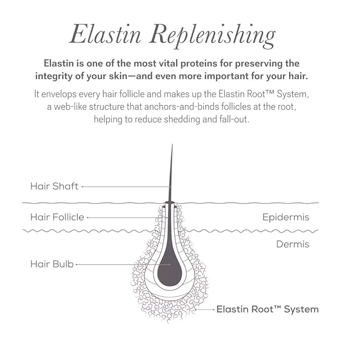 NULASTIN Scalp Serum - Vibrant Scalp Treatment to Help Improve the Look of Hair Density - Lightweight, Fast Absorbing Formula Enriched with Hair-Strengthening Ingredients (2 Count)