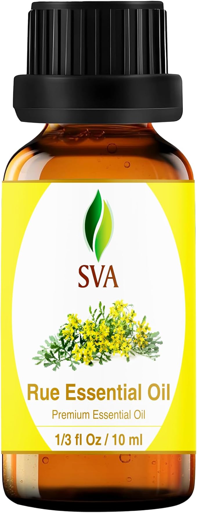 SVA Rue Essential Oil – 1/3 Fl Oz – 100% Natural Rue Oil - for Diffuser, Hair Care, Face, Skin Care, Aromatherapy, Scalp and Body Massage, Soap and Candle Making