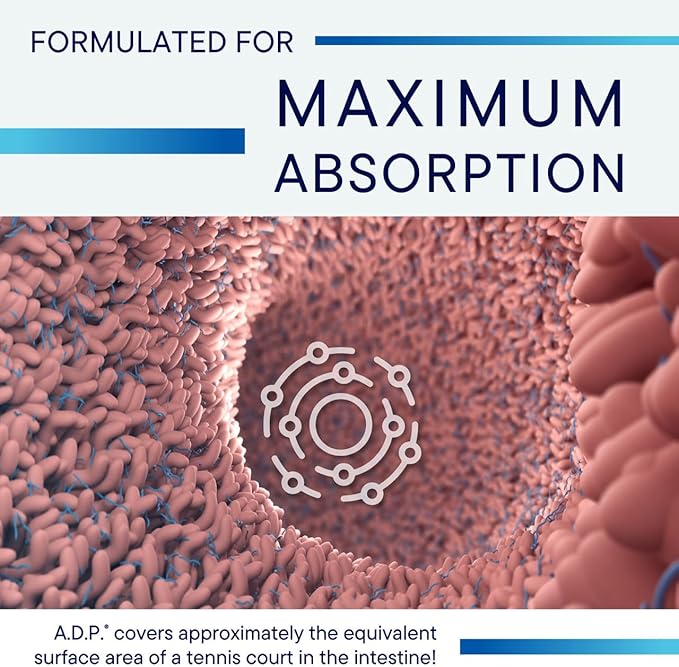 Biotics Research A.D.P. Emulsified Oil of Oregano Tablets for GI Health -Sustained Release for High Absorption Contains Carvacrol, Wild Oregano Oil 50mg/S - Patented Formula -Non GMO –60 Tablets