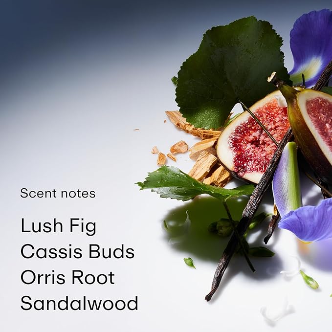 PHLUR Father Figure Deodorant Duo - Natural 48 Hour Odor Protection - Baking Soda Free & Aluminum Free Deodorant with Salicylic Acid, Arrowroot Powder & Tamanu Oil (2 x 1.76 oz)