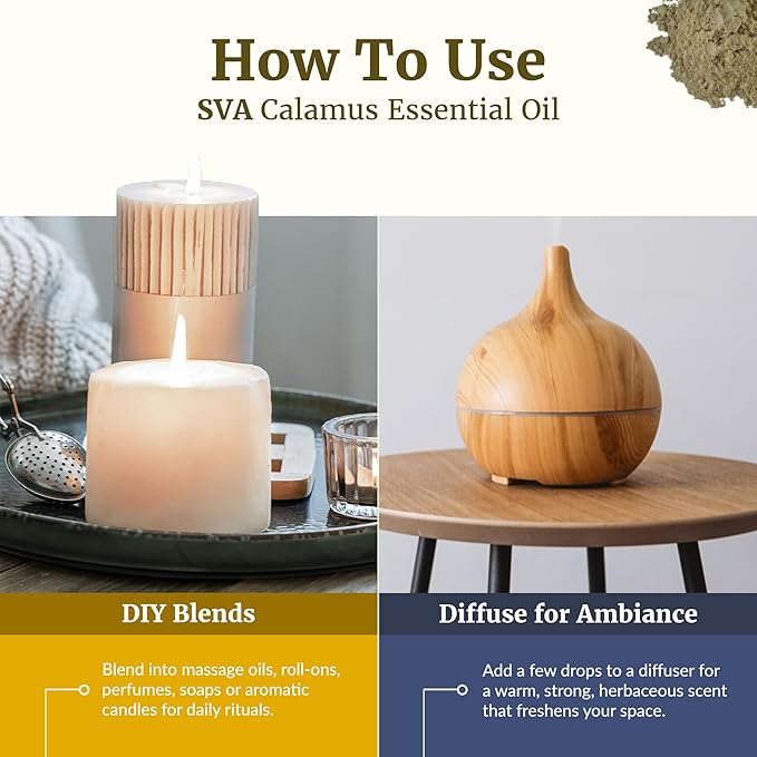 SVA Calamus Essential Oil – 1 Fl Oz – 100% Natural Calamus Oil - for Diffuser, Hair Care, Face, Skin Care, Aromatherapy, Scalp and Body Massage, Soap and Candle Making – with Dropper