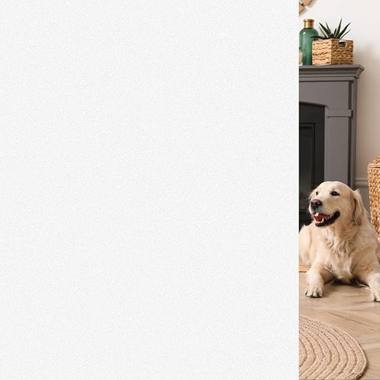 HIDBEA Frosted Window Privacy Film - Non Adhesive Static Cling Glass Stickers Sun UV Blocking Heat Control Door Covering Decals for Home Office, Frosted White, 11.8 x 78.7 Inch