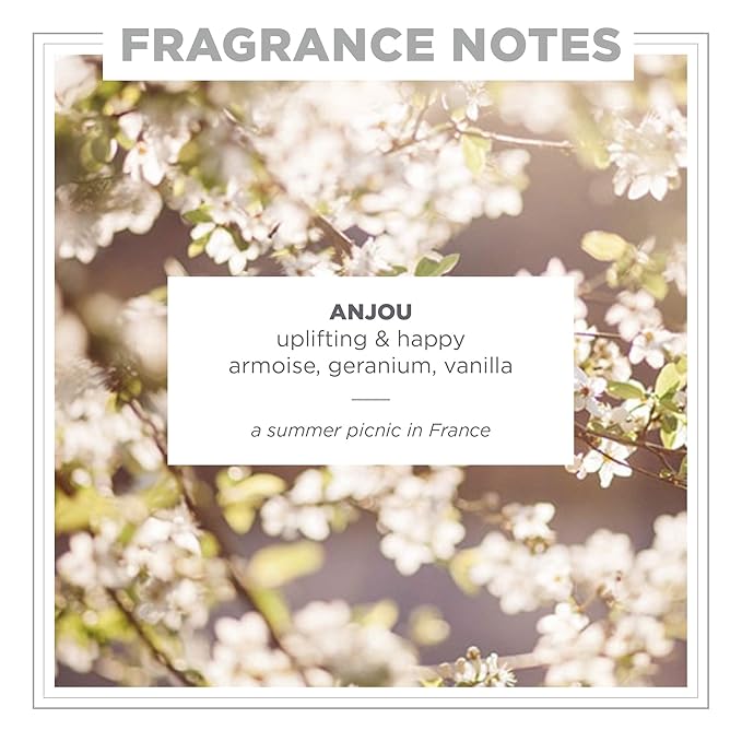 Zents Eau de Parfum (Anjou) for Women & Men | Long-Lasting Clean Fragrance with Armoise, Jasmine & Geranium | Fresh & Floral Scent | 1.69 oz