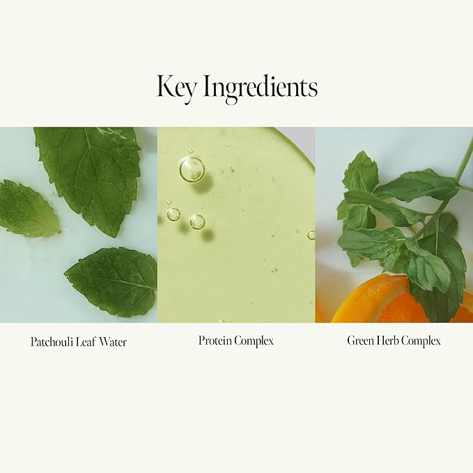 ANILLO Patchouli Garden Damage Repair Hair Essence – Korean Hair Essence Oil for Damaged Hair w/Patchouli Leaf Water, Protein Complex & Amino Acids – Vegan Leave in Hair Serum (50ml / 1.69 fl. Oz)