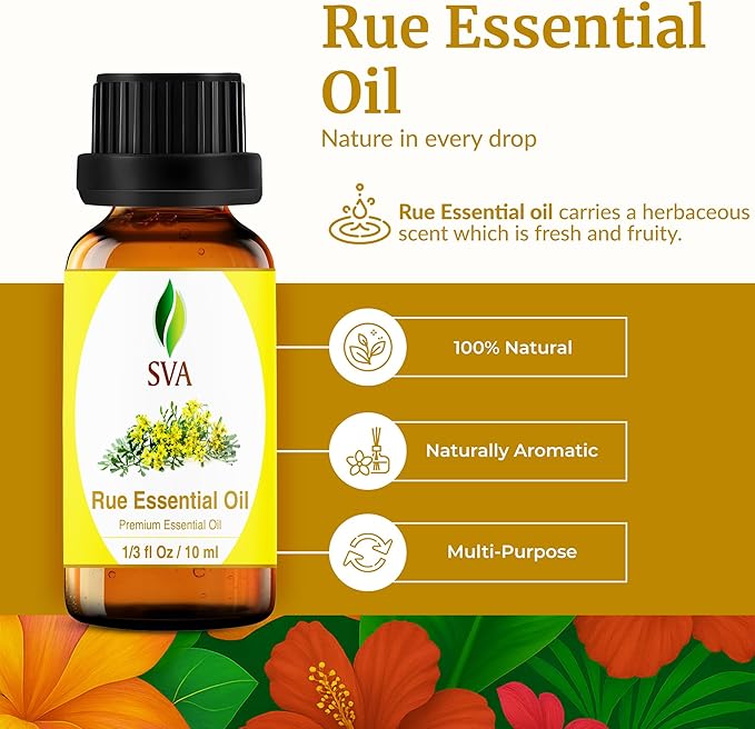SVA Rue Essential Oil – 1/3 Fl Oz – 100% Natural Rue Oil - for Diffuser, Hair Care, Face, Skin Care, Aromatherapy, Scalp and Body Massage, Soap and Candle Making