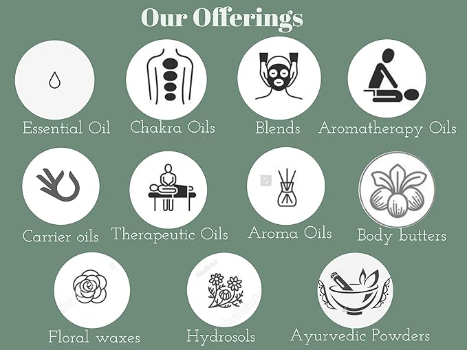 Greenwood Essential Arnica Oil (Arnica montana) | Infused | Pure | Non-Sticky | Lightweight | For Massage Preparations | Natural | Ayurvedic | For Men & Women | All Skin Types | 300ml (10 oz)