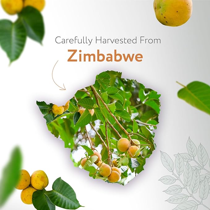 HBNO Organic Marula Oil - Huge 4 oz (120ml) Value Size - USDA Certified Organic Marula Seed Oil, Cold Pressed for Face, Body, Lips, Shampoo & Conditioner