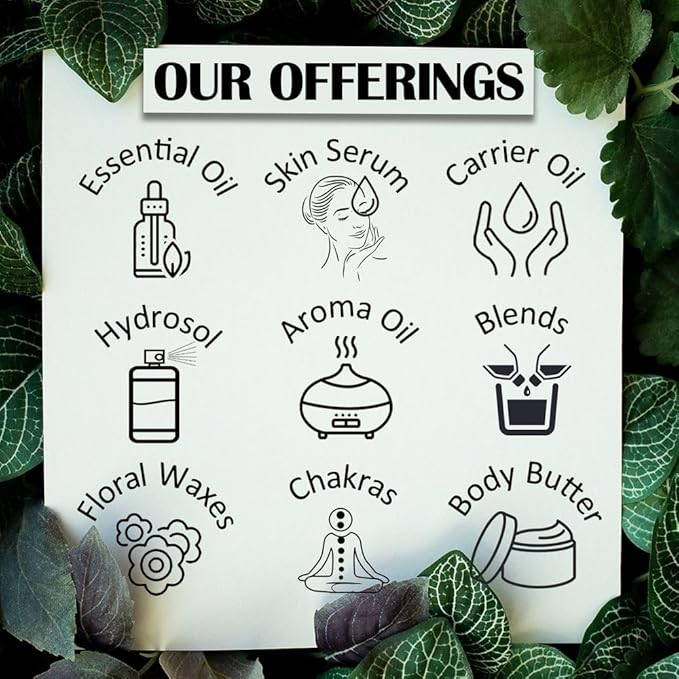 Greenwood Essential Star Anise Essential Oil (lllicium verum) Pure | Non-Sticky | Non-Greasy | Lightweight | Men & Women | All Skin Types | Steam Distilled 30ml (1 oz)