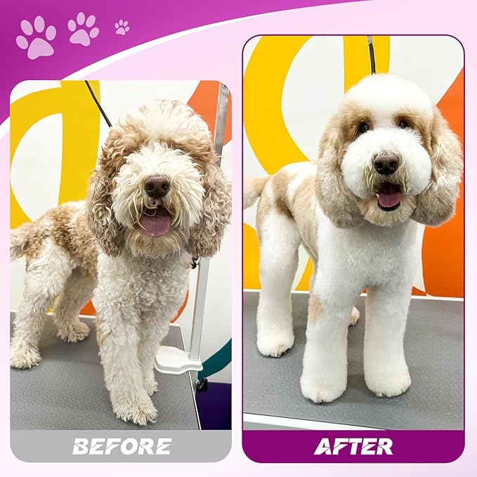 JASON Professional 6 in 1 Dog Shears Kit - 6.5" Thinning, 7" Straight, 7" Up-Curved, 7" Down-Curved Scissors and Comb for Cat, Pet with Adjustable Screw (Purple)