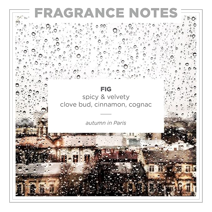 Zents Eau de Parfum (Fig) for Women & Men | Long-Lasting Clean Fragrance with Clove, Cinnamon & Vetiver | Spicy & Warm Scent | 1.69 oz