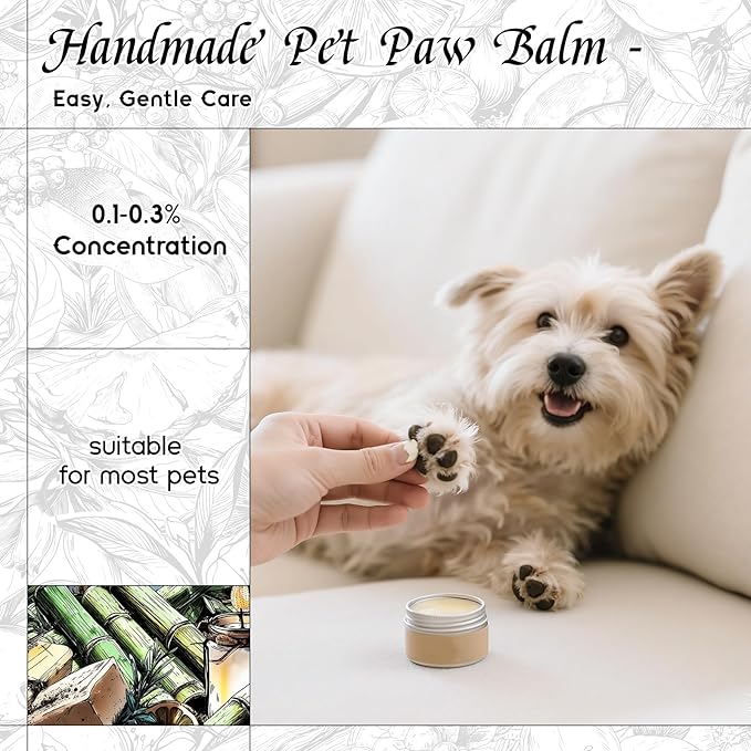 HIQILI Bamboo Fragrance Oil for Scent Diffuser, Idea for Candle & Soap Making, DIY Room Air Fresheners, New Car Scent - 1 Fl Oz