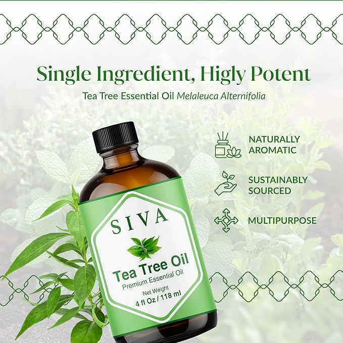 Siva Tea Tree Essential Oil - 4 Fl Oz – 100% Natural Tea Tree Oil - for Diffuser, Face, Skin Care, Aromatherapy, Hair Care, Scalp and Body Massage - with Dropper