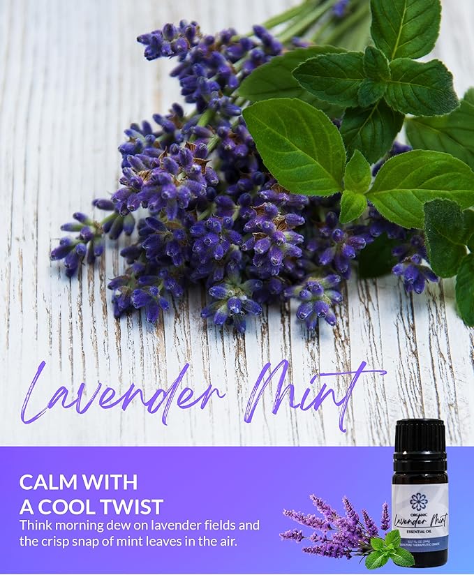 Essence Pearl Travel Case - Wearable Aromatherapy Kit with Nasal Diffuser Rings, Soaking Bay, and 5mL Essential Oil – Portable Wellness Gift Set for On?The?Go Self Care