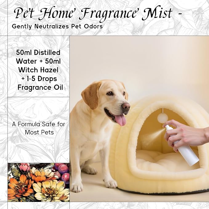 HIQILI Aldehyde Dance Fragrance Oil for Making Candle, Scented Home Decor, Room Spray, Skin & Body, Essential Oil Diffuser - 1 Fl Oz