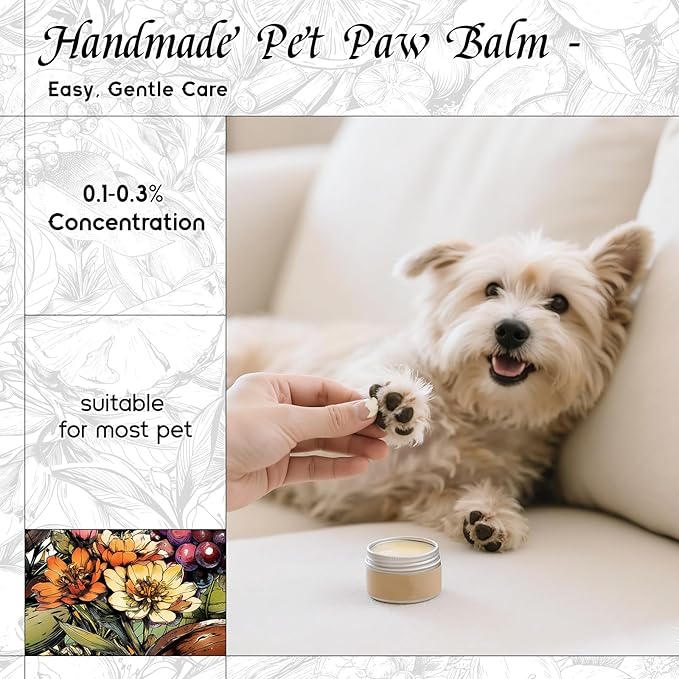 HIQILI Spring Eternal Fragrance Oil for Candle & Soap Making, Inspired by Gtal L.Chevre-feuille, Add to Air Freshener Spray, Essential Oil Diffuser, Honeysuckle - 1 Fl Oz