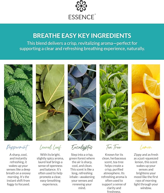 Essence Pearl Travel Case - Wearable Aromatherapy Kit with Nasal Diffuser Rings, Soaking Bay, and 5mL Essential Oil – Portable Wellness Gift Set for On‑The‑Go Self Care