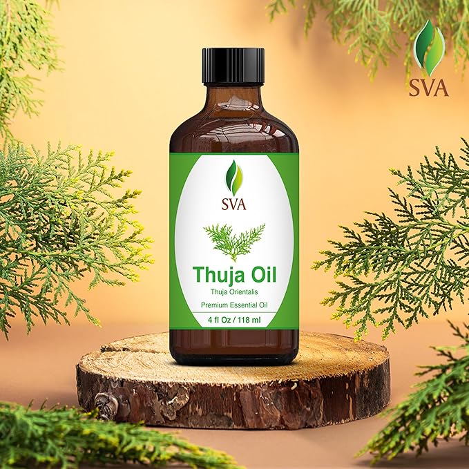 SVA Thuja Essential Oil – 4 Fl Oz – 100% Natural Thuja Oil - for Diffuser, Hair Care, Face, Skin Care, Aromatherapy, Scalp and Body Massage, Soap and Candle Making – with Dropper