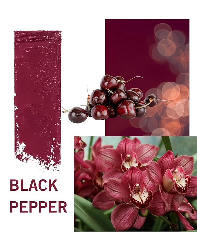 SIIA Cosmetics Change Agent Magnetic Original Lipstick in Black Pepper