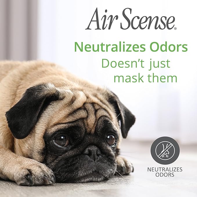 Air Scense Air Freshener Deodorizer Room Spray for Bathroom & Home, Essential Oils, Natural Lime - 7 fl oz (12 Pack)