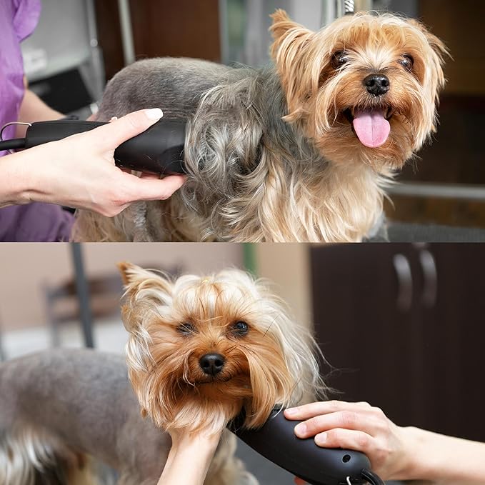 Skip Tooth 7 Wide Blade Dog Grooming Cuts Length 1/8" - 3.2mm Japanese Carbon Steel 7 Skip Tooth Blade Dog Grooming | 7W Clipper Blade (B7W)