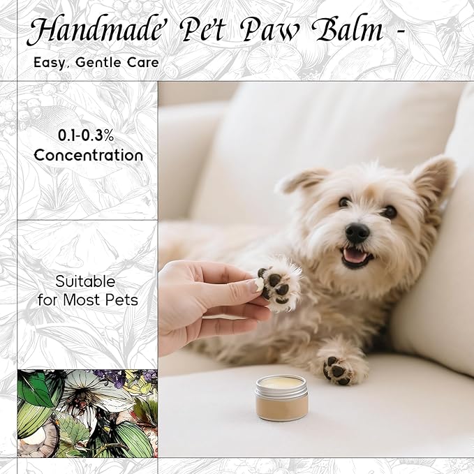 HIQILI Black Dress Fragrance Oil for Home Diffuser, Making Bath Bombs, DIY Air Refresher Spray, Sweet Scented Oil for Perfume - 5.07 Fl Oz