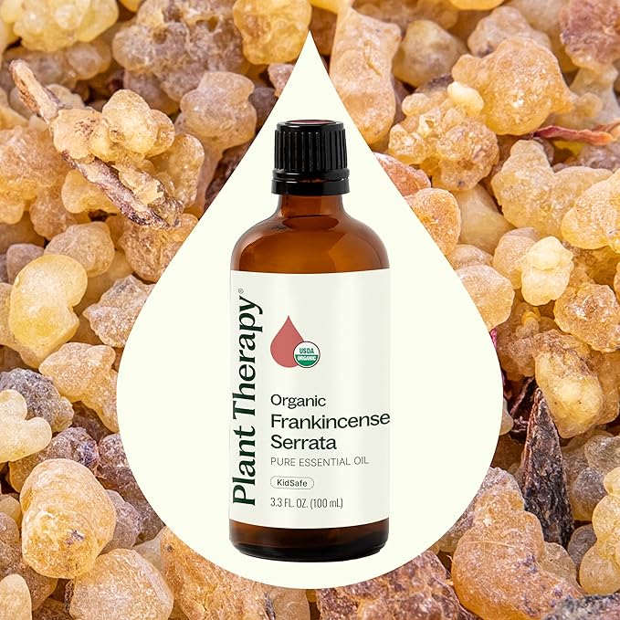 Plant Therapy Organic Frankincense Serrata Essential Oil 100% Pure, USDA Certified Organic, Undiluted, Natural Aromatherapy, Therapeutic Grade 100 mL (3.3 oz)