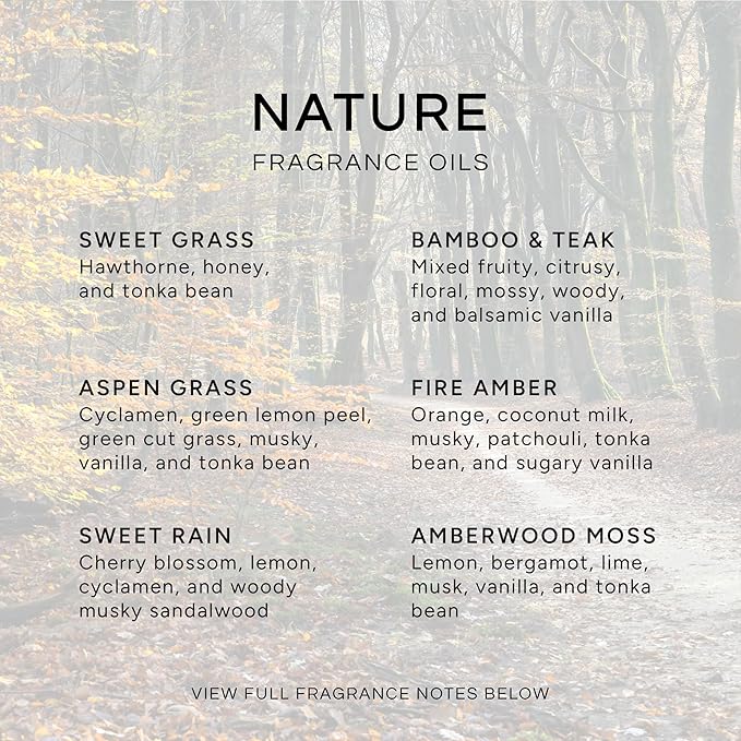 Eternal Essence Oils Nature Set of 6 Premium Fragrance Oils - Sweet Grass, Aspen Grass, Fire Amber, Sweet Rain, Bamboo & Teak and Amberwood - For Diffusers, Candle & Soap Making, & Aromatherapy - 10ML